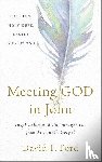 Ford, David F - Ford, D: Meeting God in John