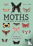 Lees, David, Zilli, Alberto - Lees, D: Moths