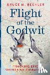 Beehler, Bruce M. (Bruce M. Beehler) - Flight of the Godwit