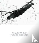 Baum, Kelly, Kumar, Brinda - Charles Ray