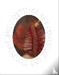 Bolton, Andrew - Costume Art