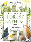 Kennedy, Lissa - An Invitation to Forest Bathing: 52 Full-Color Activity Cards to Find Yourself in Nature