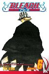 Kubo, Tite - Bleach, Vol. 6