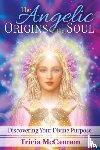 McCannon, Tricia - The Angelic Origins of the Soul