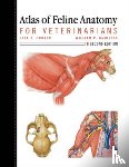 Hudson, Lola, Hamilton, William - Atlas of Feline Anatomy For Veterinarians
