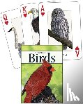 Tekiela, Stan - Birds of the Midwest