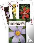 Daniels, Jaret C. - Wildflowers of the Southeast