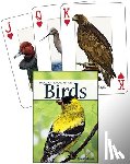 Tekiela, Stan - Birds of the Rocky Mountains Playing Cards