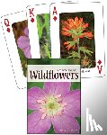 Jaret Daniels - Wildflowers of the Northeast Playing Cards