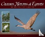 Tekiela, Stan - Cranes, Herons & Egrets