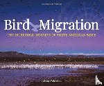 Tekiela, Stan - Bird Migration