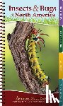 Daniels, Jaret C. - Insects & Bugs of North America