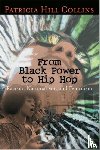 Collins, Patricia Hill - From Black Power to Hip Hop