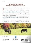 Equine Research - Horseman's Veterinary Encyclopedia, Revised and Updated