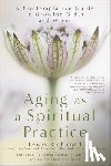 Richmond, Lewis - Aging as a Spiritual Practice: A Contemplative Guide to Growing Older and Wiser