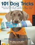 Sundance, Kyra, Chalcy - 101 Dog Tricks