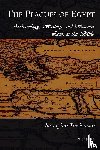 Trevisanato, Siro - The Plagues of Egypt