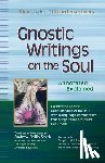 Smith, Andrew Phillip - Gnostic Writings on the Soul