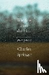 Springer, Charles - Window over the Sink: Prose Poems