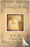 Stokes, Penelope J. - The Amber Photograph