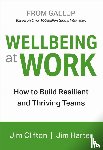 Clifton, Jim, Harter, Jim - Wellbeing at Work