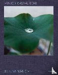 Masatake, Shinohara, Martin, Lesley A., Chandler, David - Rinko Kawauchi: Illuminance