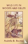 Buckley, Arabella B. - Wild Life in Woods and Fields (Yesterday's Classics)
