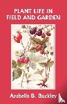 Buckley, Arabella - Plant Life in Field and Garden (Yesterday's Classics)