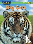 Johnson, Bruce - Big Cats