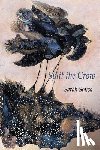 Sousa, Sarah - Split the Crow