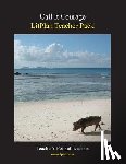 Linde, Barbara M. - Litplan Teacher Pack: Call It Courage