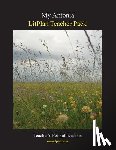 Collins, Mary B. - Litplan Teacher Pack: My Antonia