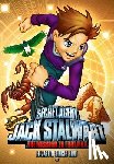 Elizabeth Hunt - Secret Agent Jack Stalwart: Book 14: The Mission to Find Max: Egypt