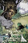 Burgess, Thornton W. - The Adventures of Old Mr. Toad by Thornton Burgess, Fiction, Animals, Fantasy & Magic