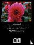 McClaren, Bill - Encyclopedia of Dahlias