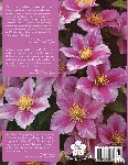 Leeds, Everett, K. Toomey, Mary - An Illustrated Encyclopedia of Clematis