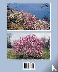 Gardiner, Jim - Magnolias