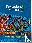 Wolfe, Jeremy - Sensation and Perception