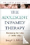 Micucci, Joseph A. - The Adolescent in Family Therapy, Second Edition