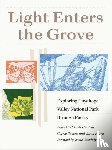  - Light Enters the Grove