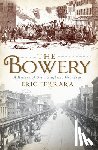 Ferrara, Eric - The Bowery: A History of Grit, Graft and Grandeur