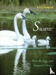 Johnsgard, Paul - Swans