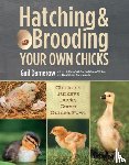 Damerow, Gail - Hatching & Brooding Your Own Chicks