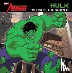 Rudnick, Elizabeth - Hulk Versus the World - Library Edition
