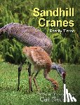 Diederich, Gail - Sandhill Cranes, Family Times