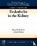 Pollock, David, Boesen, Erika - Endothelin in the Kidney