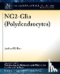Butt, Arthur M. - NG2-Glia (Polydendrocytes)
