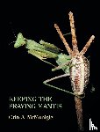 McMonigle, Orin - Keeping the Praying Mantis