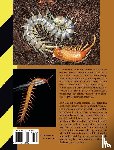 McMonigle, Orin - Centipedes in Captivity