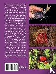 McMonigle, Orin - Breeding the Vampire and Other Crabs